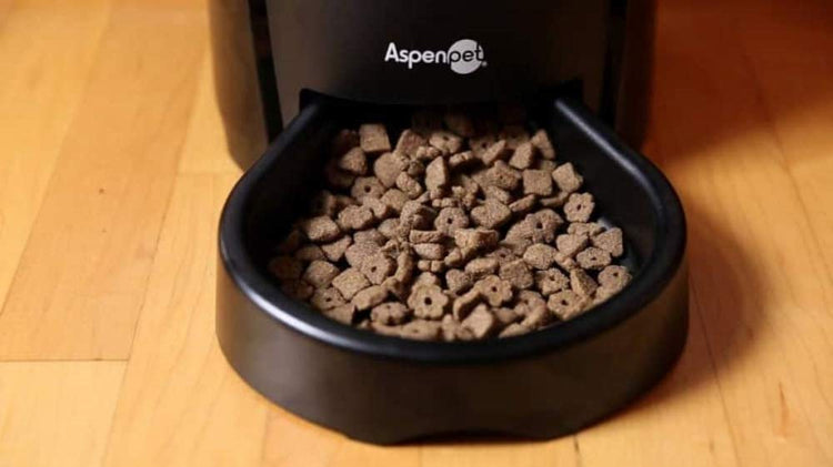 Aspen Pet Lebistro Programmable Cat & Dog Feeder 2 Sizes Black (24232), 18 Cups