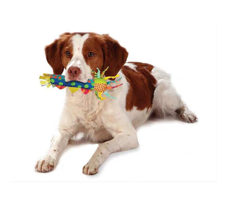 Cutie Chewies Hedgehog Dental Dog Chew Toy — Multi-Textured, Massages Gums, Floats & Bounces for Teething Puppies & Small Dogs, 5" x 3.5" x 1"