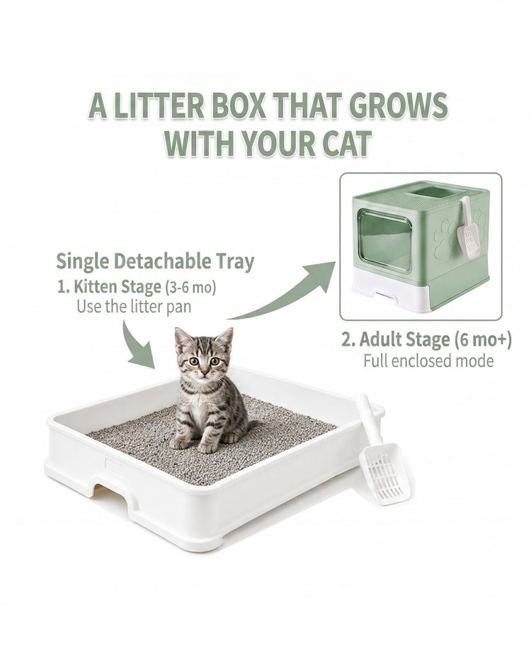 Medario Cat Litter Box with Litter Mat and Scoop, Large Covered Litter Box with Lid, Enclosed Kitty Box, Front Entry Top Exit, Odor Control, Easy to Clean (Grey)