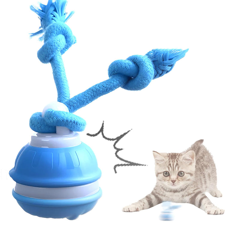 Dog Ball Toy Tail 2.0 Dog Toy, 2025 New Smart Interactive Cats Toys Ball, Squeaky Toy Electric Automatic Rolling Moving Pet Toy Balls with Rope for Cats and Medium Small Dogs Puppy (Blue, 1pcs)