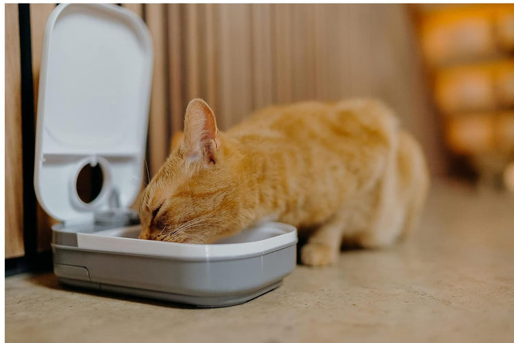 Cat Mate C100 Single Meal Automatic Timer-Controlled Pet Feeder - Suitable for Cats and Small Dogs, for Wet or Dry Food, up to 0.88 lb Capacity, White