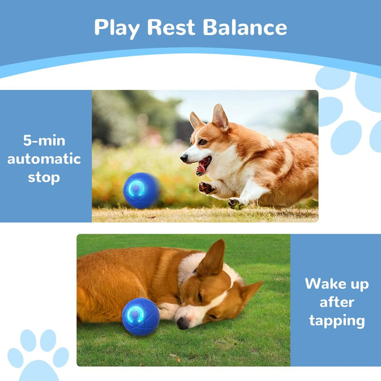 Interactive Dog Toys for Small Dogs, 2026 New Dog Balls Automatic Rolling Ball for Puppy Small Medium Dog and Cat, Self Moving Jumping Bouncing and Rotating Pets Toy to Keep Them Busy (Blue)