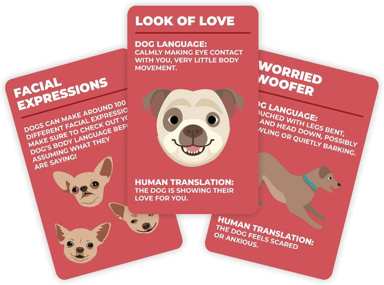 Gift Republic How to Speak Dog 100 Cards Fun for Lovers Learn What Your Puppy is Saying Behaviour Guidance Doggie Language