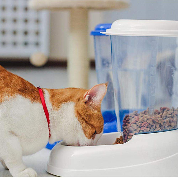 Ferplast Dry Food Dispenser for Dogs and Cats 3 Liter Zenith Practical pet Feeder Food Dispenser Biscuits for Animals, Transparent Tank with lid, Non-Slip Bottom, 20,2 x 29,2 x h 28,8 cm Blue