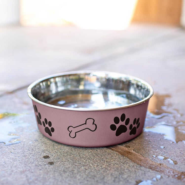 Loving Pets Bella Dog Bowls- Stainless Steel Dog & Cat Bowls - Spill Proof Dog Food Bowl, Cat Bowl, Puppy Essentials & Pet Supplies Great for Home & Travel (Medium 20-35 lbs, Blueberry)