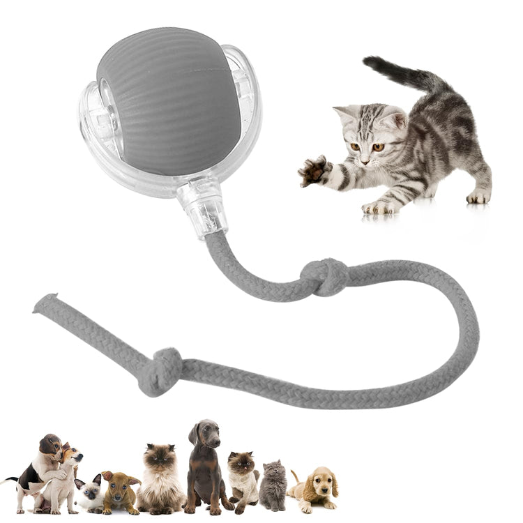 Chewie Viral 360 Smart Automatic Rolling Pet Ball - Interactive Dog & Cat Toy (Green)