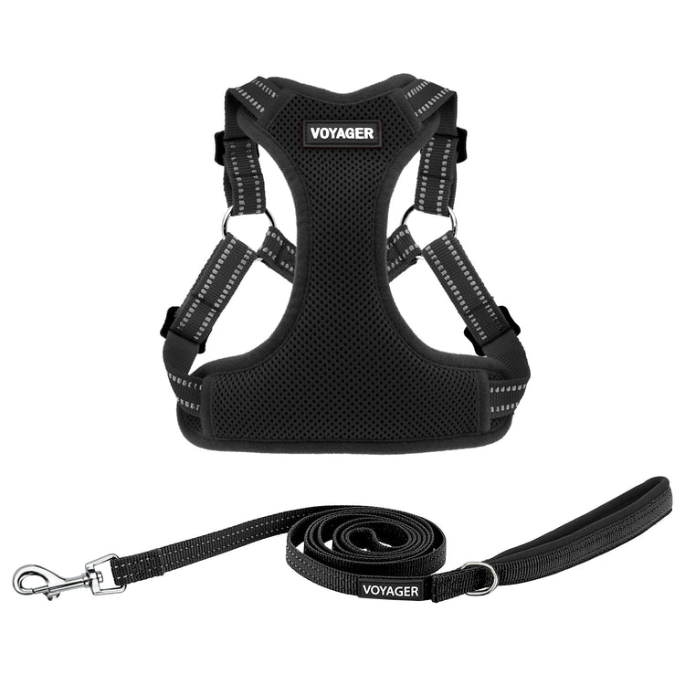 Best Pet Supplies Voyager Adjustable Step-in Flex Breathable Mesh Dog Harness for Small Medium Large Dogs Leash Set (Purple), M