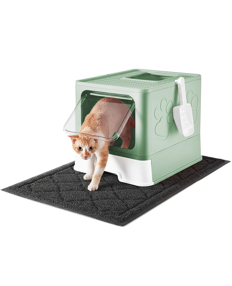 Medario Cat Litter Box with Litter Mat and Scoop, Large Covered Litter Box with Lid, Enclosed Kitty Box, Front Entry Top Exit, Odor Control, Easy to Clean (Grey)
