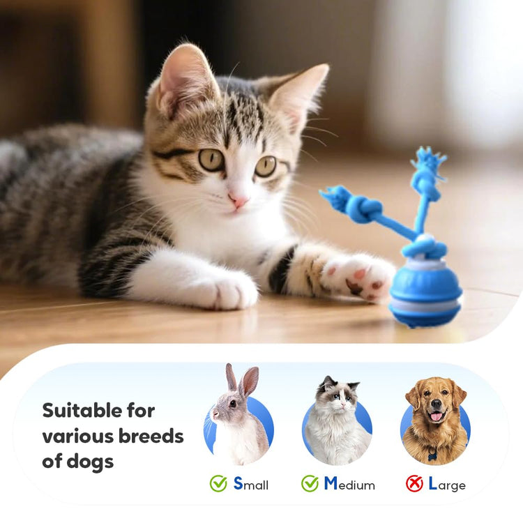 Dog Ball Toy Tail 2.0 Dog Toy, 2025 New Smart Interactive Cats Toys Ball, Squeaky Toy Electric Automatic Rolling Moving Pet Toy Balls with Rope for Cats and Medium Small Dogs Puppy (Blue, 1pcs)