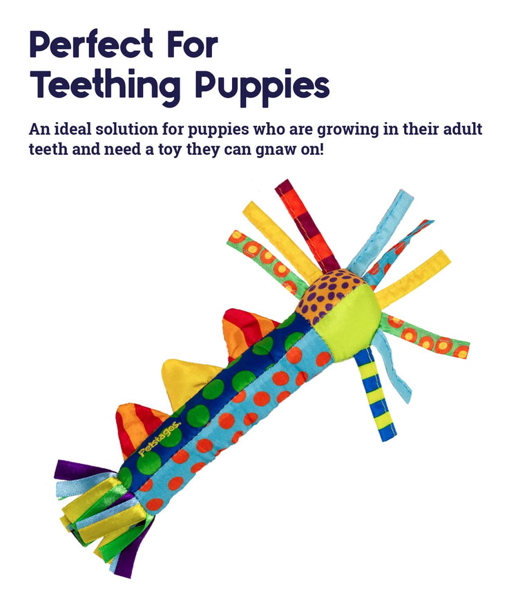 Cutie Chewies Hedgehog Dental Dog Chew Toy — Multi-Textured, Massages Gums, Floats & Bounces for Teething Puppies & Small Dogs, 5" x 3.5" x 1"