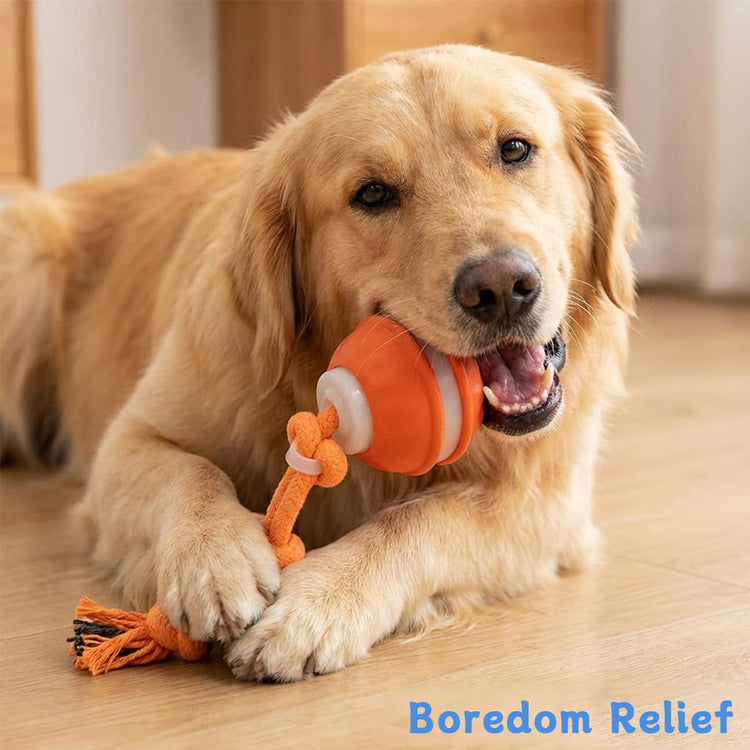 Zealburst Interactive Dog Toy Ball, 2026 Upgraded Motion Activated Rolling Ball with Squeaky Sounds, 360° Smart Automatic Moving Toy for Bored Cats & Dogs, Indoor & Outdoor Pet Exercise Toy (Blue)