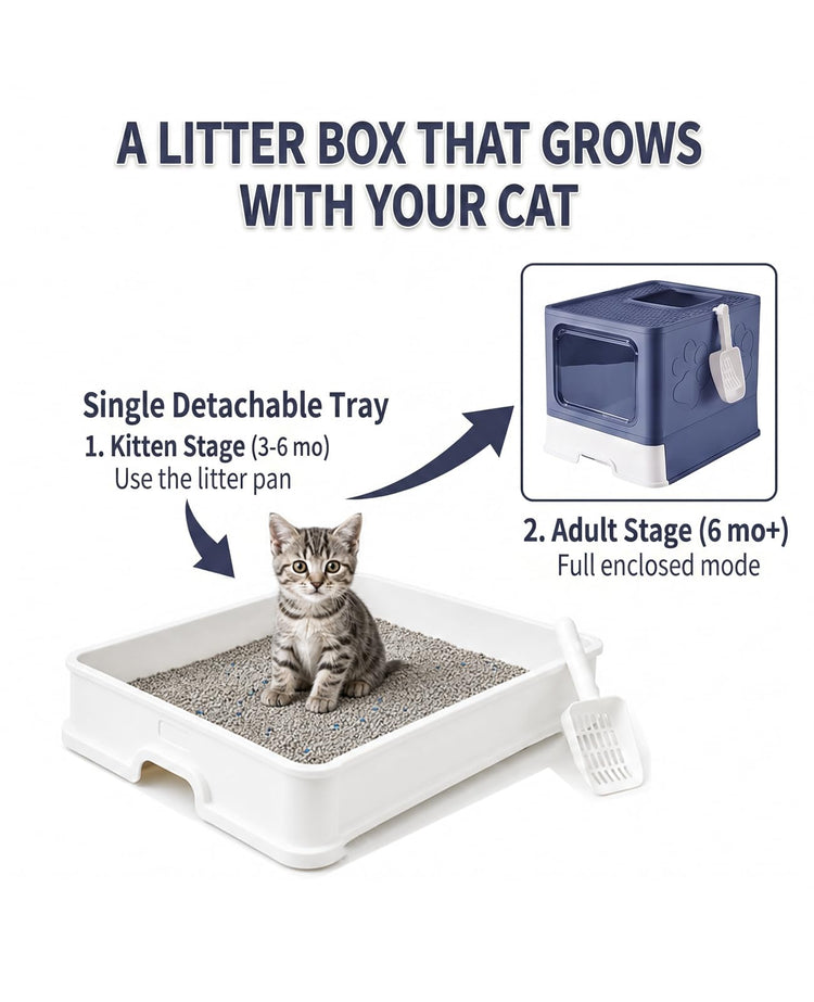 Medario Cat Litter Box with Litter Mat and Scoop, Large Covered Litter Box with Lid, Enclosed Kitty Box, Front Entry Top Exit, Odor Control, Easy to Clean (Grey)