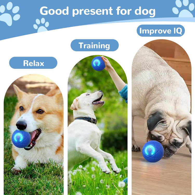 Interactive Dog Toys for Small Dogs, 2026 New Dog Balls Automatic Rolling Ball for Puppy Small Medium Dog and Cat, Self Moving Jumping Bouncing and Rotating Pets Toy to Keep Them Busy (Blue)