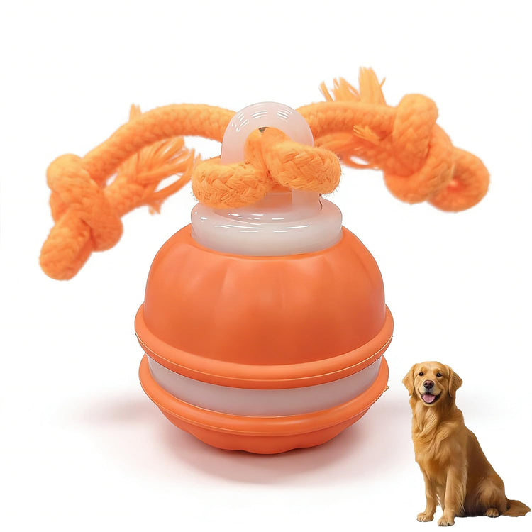 Zealburst Interactive Dog Toy Ball, 2026 Upgraded Motion Activated Rolling Ball with Squeaky Sounds, 360° Smart Automatic Moving Toy for Bored Cats & Dogs, Indoor & Outdoor Pet Exercise Toy (Blue)