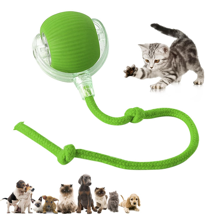 Chewie Viral 360 Smart Automatic Rolling Pet Ball - Interactive Dog & Cat Toy (Green)
