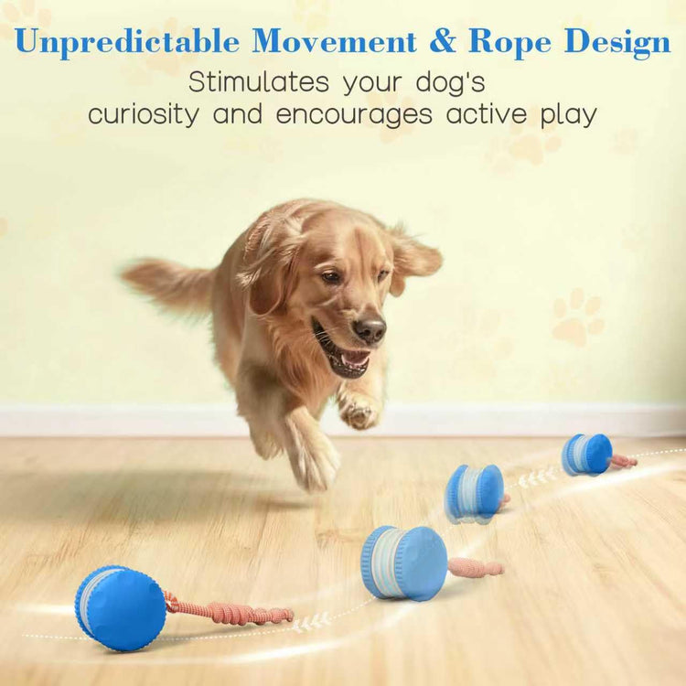 Interactive Dog Toys, Random Path Electric Automatic Moving and Rolling Dogs Toy with Rope for Small Medium Large Dogs, Motion-Activated Dog Stimulation Toy for Boredom Relief (Orange)
