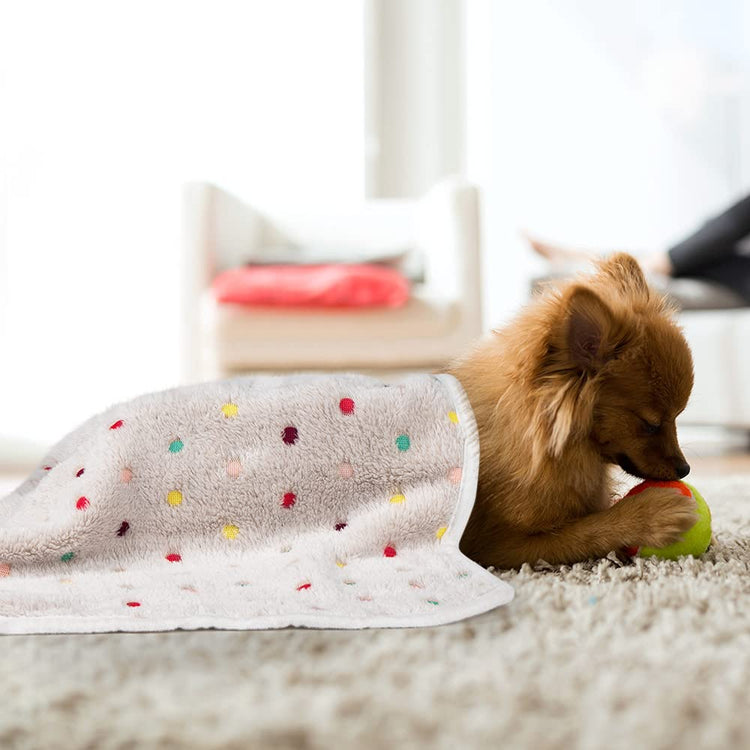 Dono 1 Pack 3 Dog Blankets, Soft Fluffy Fleece Pet Blanket Warm Sleep Mat Paw Print Design Puppy Kitten Throw Blanket Doggy Mat Blanket for Dogs