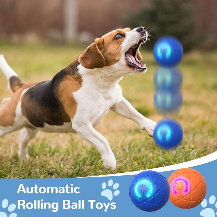 Interactive Dog Toys for Small Dogs, 2026 New Dog Balls Automatic Rolling Ball for Puppy Small Medium Dog and Cat, Self Moving Jumping Bouncing and Rotating Pets Toy to Keep Them Busy (Blue)