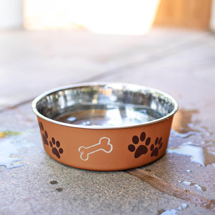 Loving Pets Bella Dog Bowls- Stainless Steel Dog & Cat Bowls - Spill Proof Dog Food Bowl, Cat Bowl, Puppy Essentials & Pet Supplies Great for Home & Travel (Medium 20-35 lbs, Blueberry)