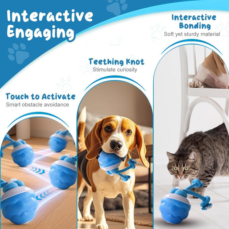 Dog Ball Toy Tail 2.0 Dog Toy, 2025 New Smart Interactive Cats Toys Ball, Squeaky Toy Electric Automatic Rolling Moving Pet Toy Balls with Rope for Cats and Medium Small Dogs Puppy (Blue, 1pcs)