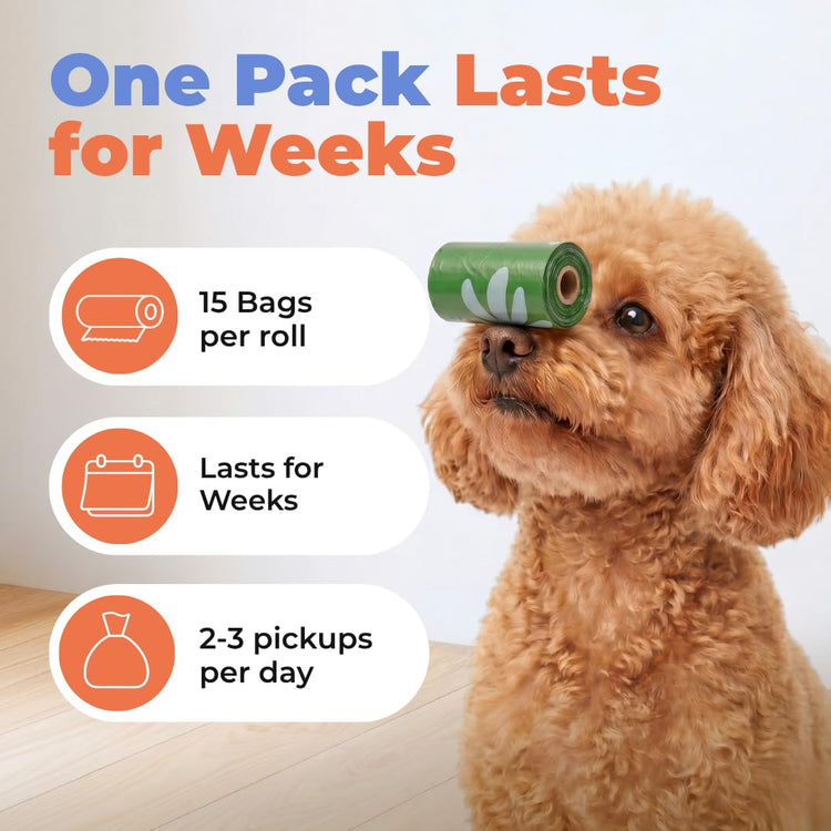 Best Pet Supplies Dog Poop Bags for Waste Refuse Cleanup, Doggy Roll Replacements for Outdoor Puppy Walking and Travel, Leak Proof and Tear Resistant, Thick Plastic - Assorted, 150 Bags