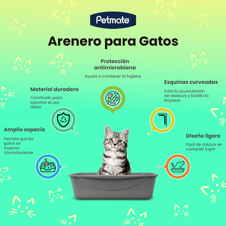 Petmate Open Cat Litter Box, Blue Mesa/Mouse Grey,M (Pack of 1), Made in USA