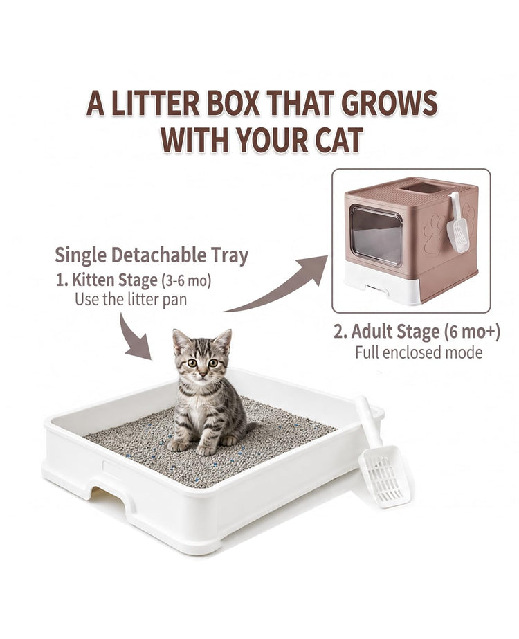Medario Cat Litter Box with Litter Mat and Scoop, Large Covered Litter Box with Lid, Enclosed Kitty Box, Front Entry Top Exit, Odor Control, Easy to Clean (Grey)