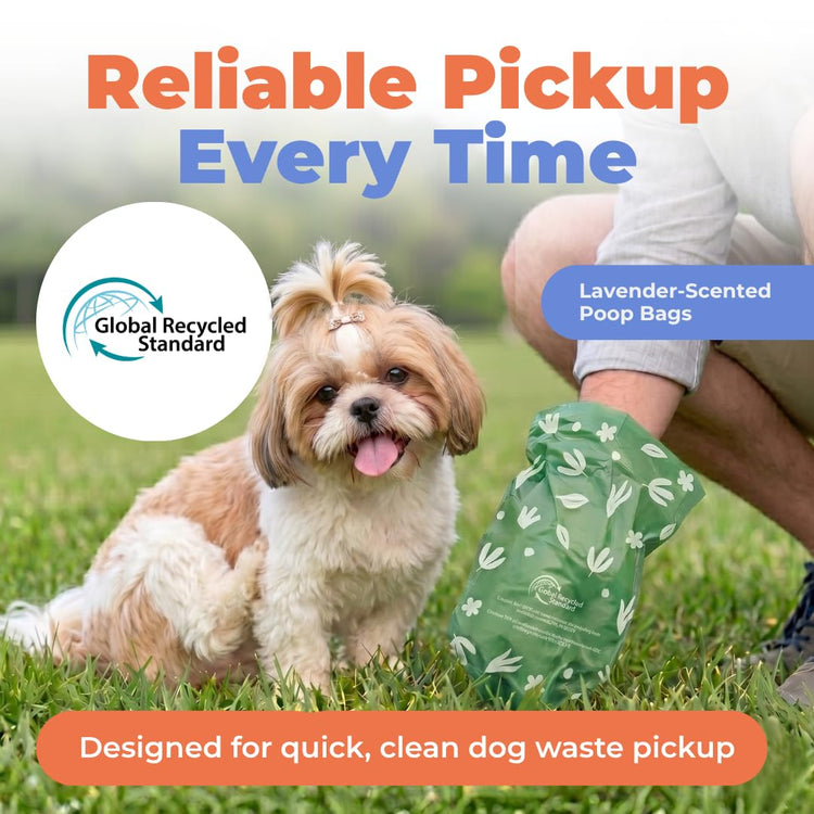 Best Pet Supplies Dog Poop Bags for Waste Refuse Cleanup, Doggy Roll Replacements for Outdoor Puppy Walking and Travel, Leak Proof and Tear Resistant, Thick Plastic - Assorted, 150 Bags