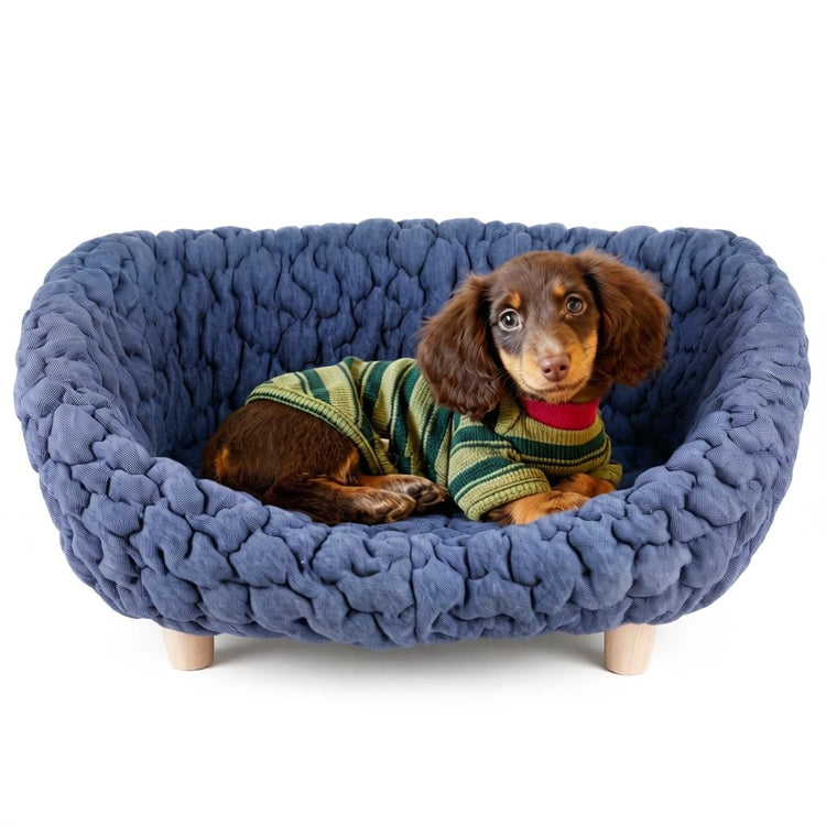 halinfer Modern Pet Sofa for Small to Medium Cats and Dogs, Up to 20 Pounds, Living Room and Bedroom Pet Furniture Bed