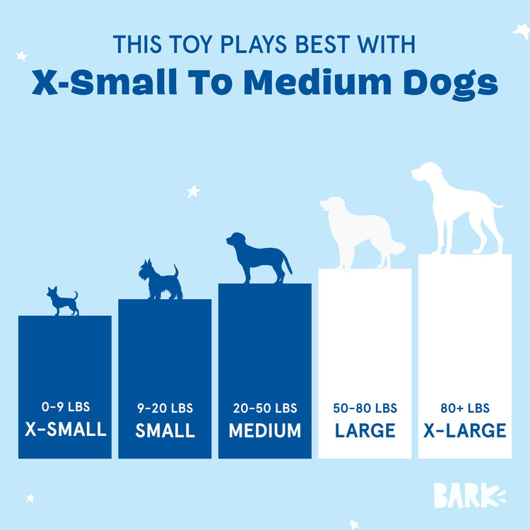 Barkbox Dog Toys – Barker’s Dozen Donuts Plush 4 in 1 Multi Part Interactive Dog Toy for Dogs & Puppies – Small