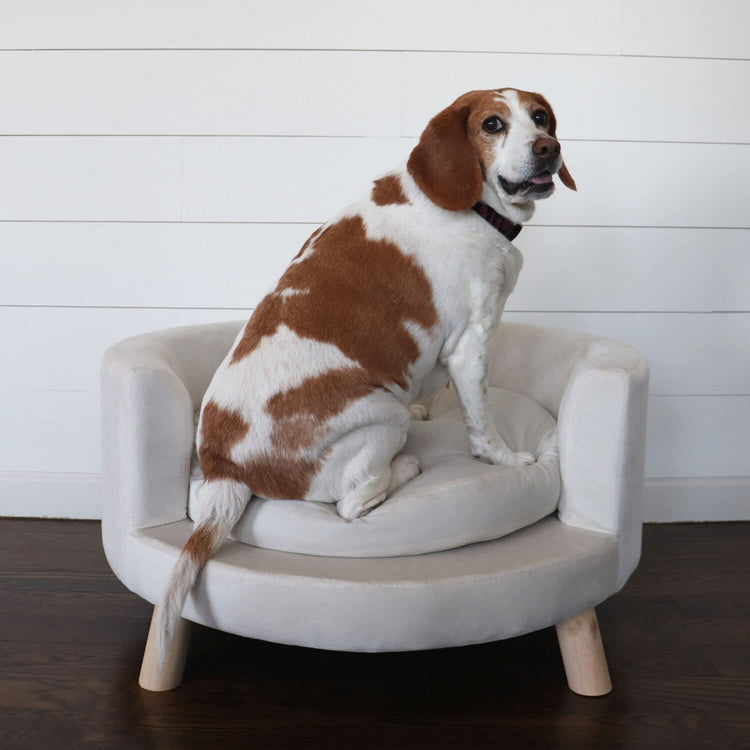 CRITTER SITTERS 33” Faux Suede Ped Bed in Brown, Durable Washable Sofa Couch for Small & Medium Cats & Dogs, Must Have Accessory for Yorkies, Shih Tzus & Frenchies, Kitten & Puppy Essential Furniture