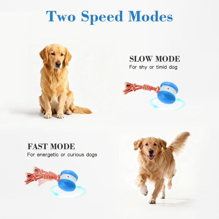 Interactive Dog Toys, Random Path Electric Automatic Moving and Rolling Dogs Toy with Rope for Small Medium Large Dogs, Motion-Activated Dog Stimulation Toy for Boredom Relief (Orange)