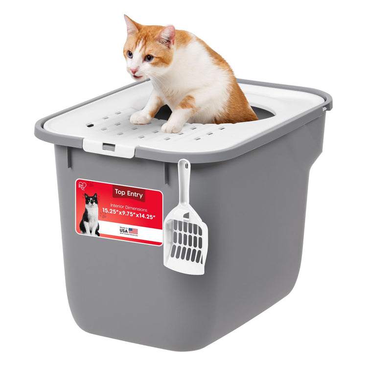 IRIS USA Cat Litter Box Large Open Top with High Sided Walls Tall Scatter Shield Scoop Included Easy Clean Plastic Pan Stain Resistant for Big Cats Kittens Indoor Multi-Cat Households
