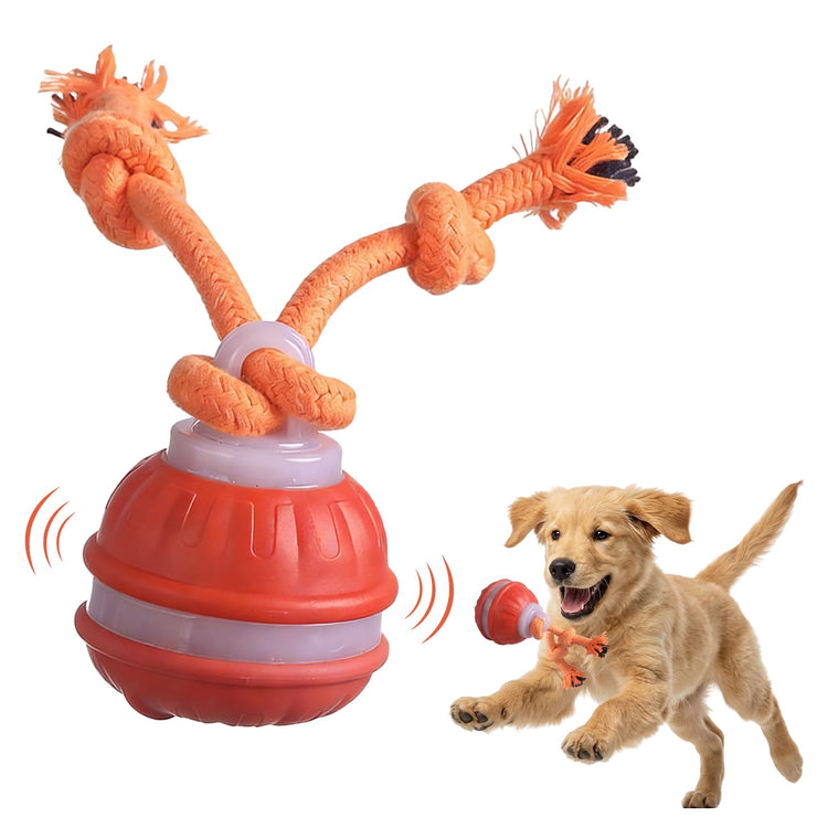 Zealburst Interactive Pet Toy, 360° Auto Rolling Moving Toy for Dogs and Cats, Alleviate Boredom (Blue)