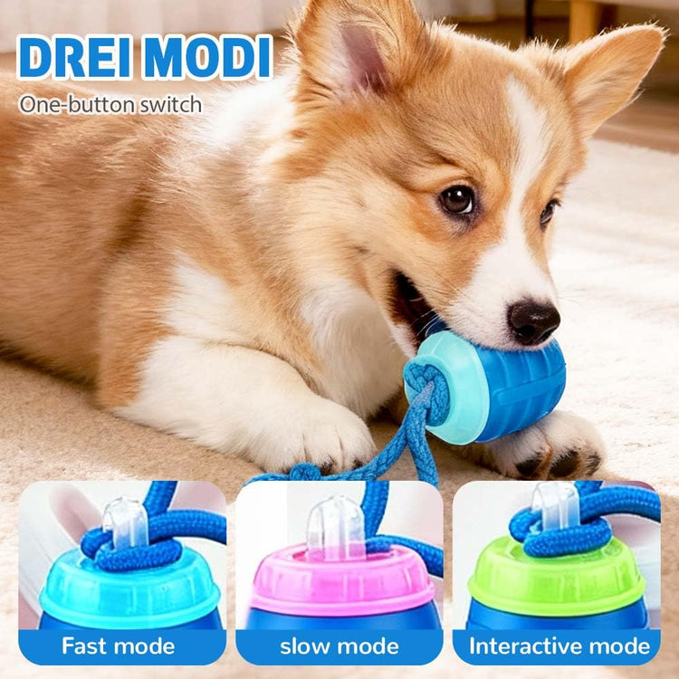 Interactive Dog Toys, 2026 Upgraded Motion Activated Squeaky Cat Balls, 360° Smart Automatic Rolling Moving for Bored Pet Cats Dogs, Interactive Dog Balls (Blue)