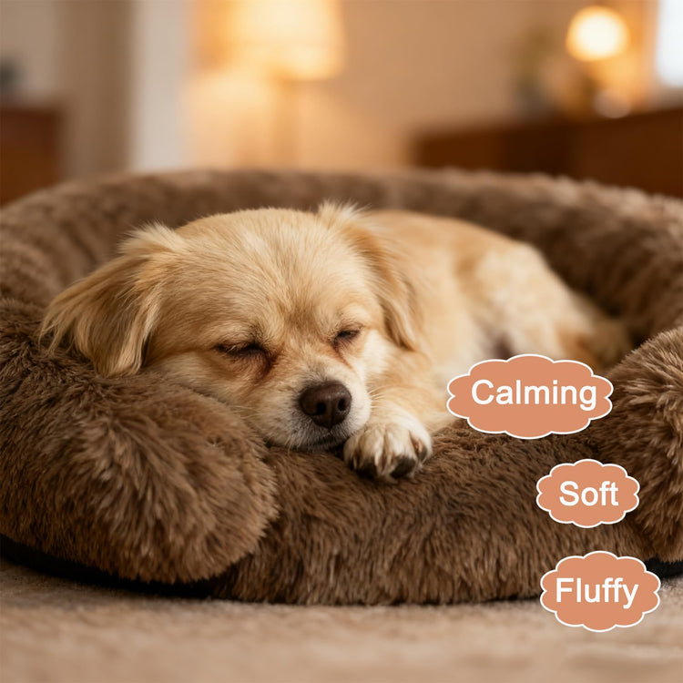 Orthopedic Dog Bed with Egg-Crate Base, Calming Dog & Cat Beds Long Plush with Raised Edges, Spine Friendly Pet Sleeping Mat for Small Medium Dogs, Machine Washable (Oval, Beige 26"x20")