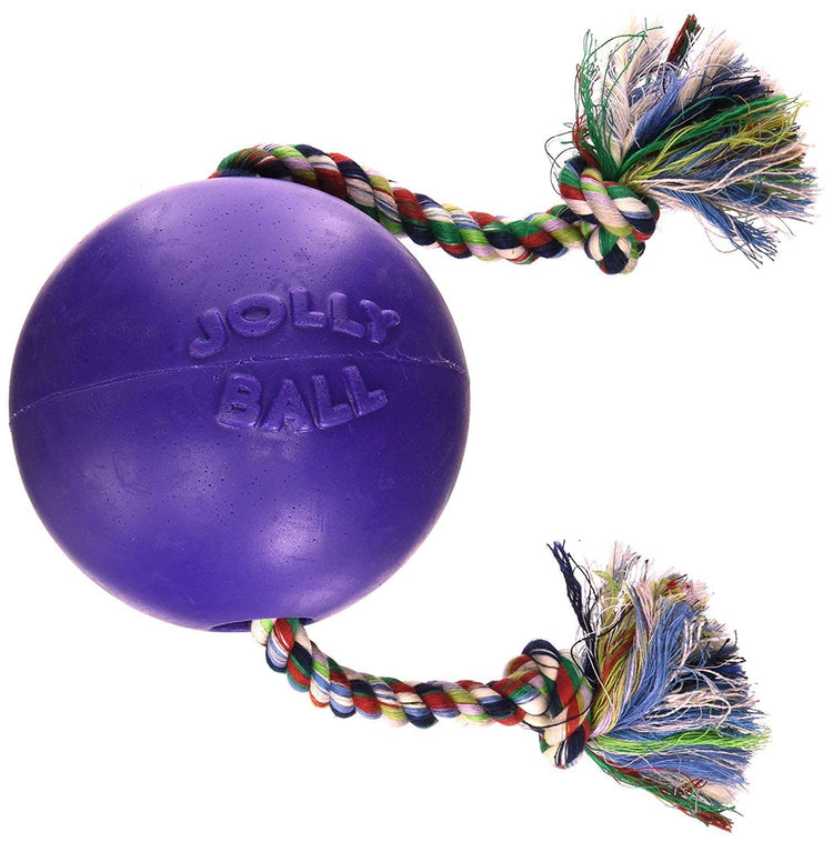 Jolly Pets Romp-n-Roll Rope and Ball Dog Toy, 6 Inches/Medium, Red (606 RD)
