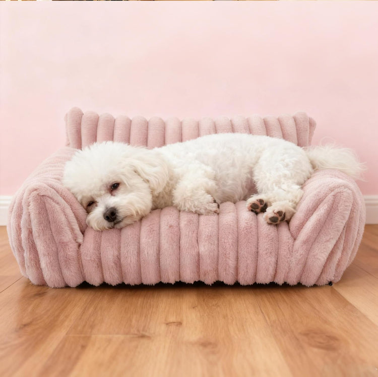 Cat Couch for Pets - Cute Cat Beds for Indoor Cats with Removable Cover, Washable Soft Corduroy Plush, Fluffy Supportive Pet Sofa Chair for Small Dog & Cats, 30 inch Brown