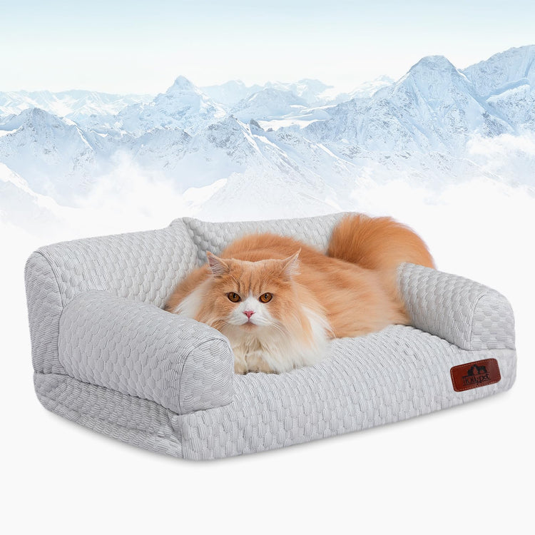 Hollypet Fluffy Dog Cat Bed Pet Couch Beds Plush Soft Warming Machine Washable Puppy Bed with Non-Slip Bottom for Cats and Small Medium Dogs up to 25 lbs, Gray, 24" L x 18" W x 10" Th