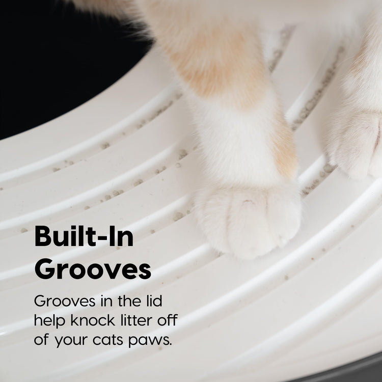 IRIS USA Cat Litter Box Large Open Top with High Sided Walls Tall Scatter Shield Scoop Included Easy Clean Plastic Pan Stain Resistant for Big Cats Kittens Indoor Multi-Cat Households