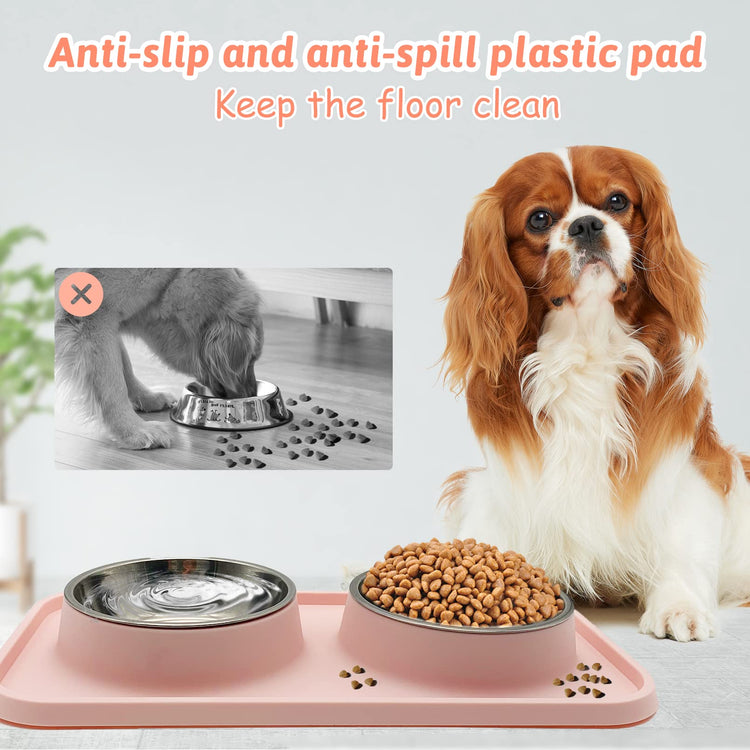 BNOSDM Double Dog Food Bowls Stainless Steel Dog Food and Water Bowls with Non-Spill Plastic Mat Pet Cat Feeder Bowl Set for Puppy Cats Kitten Small Medium Dogs Pink
