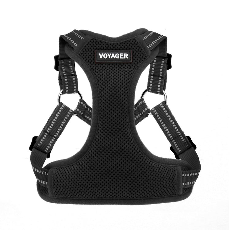 Best Pet Supplies Voyager Adjustable Step-in Flex Breathable Mesh Dog Harness for Small Medium Large Dogs Leash Set (Purple), M