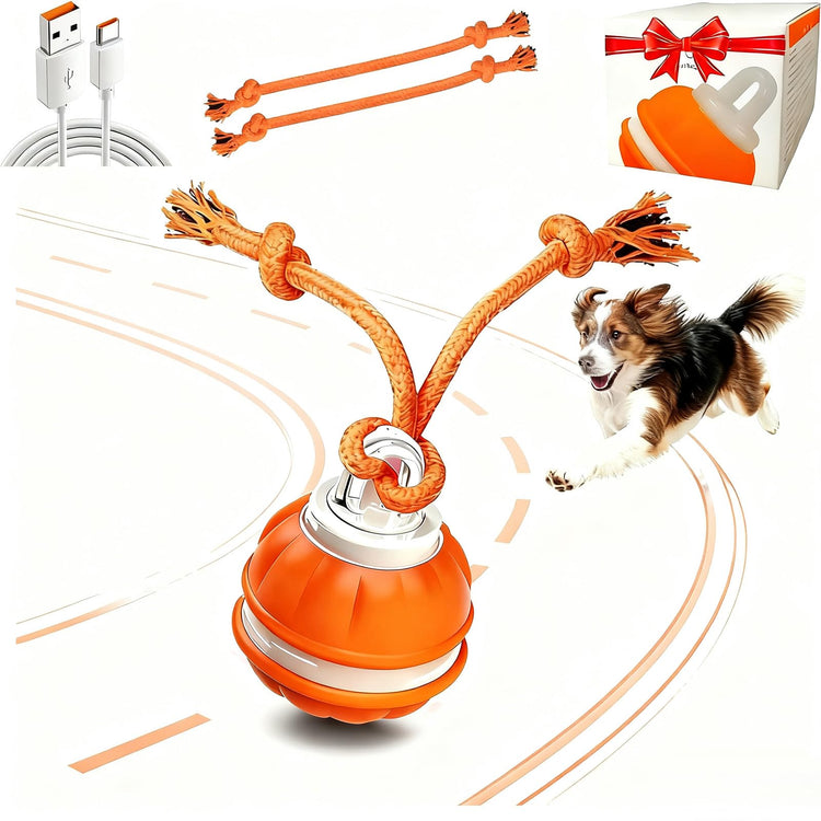 Interactive Dog Toys, Interactive Dog Ball with Birdsong Squeaky Chewable Rope for Small/Medium/Large Dogs,Automatic Moving Dogs Toy Wicked Ball for Boredom & Training,Dog Toys to Keep them Busy(Blue)