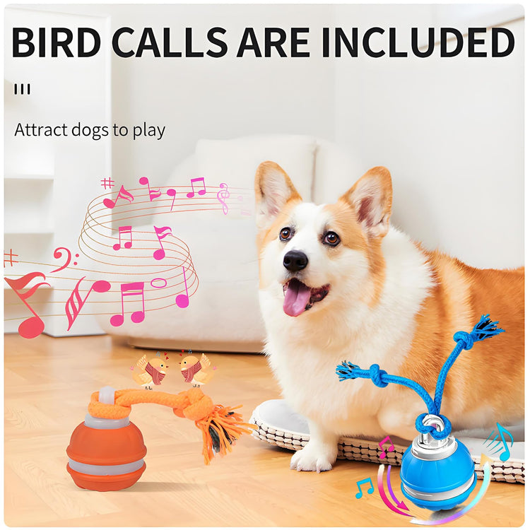 Interactive Dog Toys, Interactive Dog Ball with Birdsong Squeaky Chewable Rope for Small/Medium/Large Dogs,Automatic Moving Dogs Toy Wicked Ball for Boredom & Training,Dog Toys to Keep them Busy(Blue)