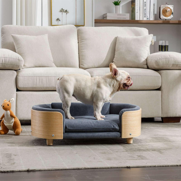 Velvet Dog Bed Pet Sofa with Solid Wood Legs and Bent Wood Back, Stain-Resistant Cushion in Multiple Colors - Luxury Pet Furniture for Cats and Dogs, Dark Grey