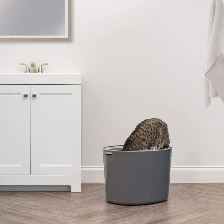 IRIS USA Cat Litter Box Large Open Top with High Sided Walls Tall Scatter Shield Scoop Included Easy Clean Plastic Pan Stain Resistant for Big Cats Kittens Indoor Multi-Cat Households