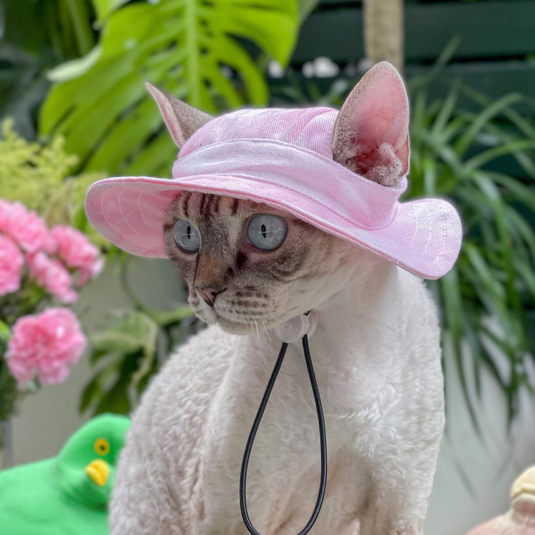 Pet hat with Ear Holes Sunscreen Baseball Cap Suitable for Small and Medium-Sized Dogs Outdoor Climbing hat in Summer Pet Products (Pink, Medium)