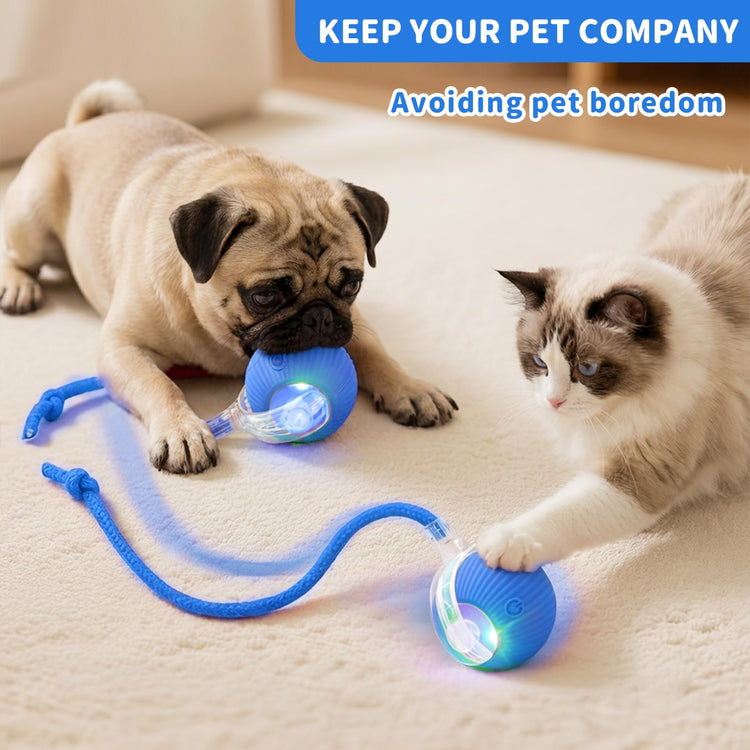 Interactive Cat Toys for Indoor Cats Smart Automatic Ball Rolling for Bored Kitten Pet Upgraded Speedy Moving Chase Dogs Toy Mothers Day Gifts Red