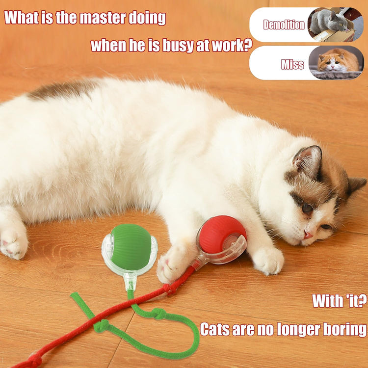 2025 New Interactive Dog Cat Toys Balls,Interactive Rolling Ball Cat Toy, 360° Smart Automatic Rolling Pet Ball, Fast Moving Toy for Dog and Cat(Green)