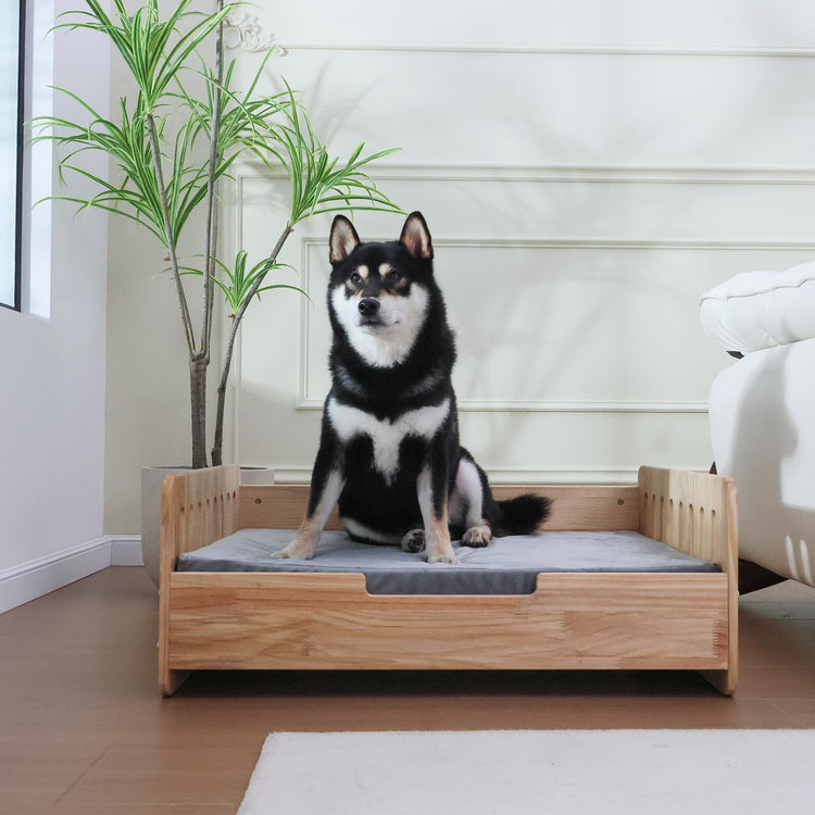 Elevated Dog Beds Frame with Mattress, Raised Wood Pet Bed Sofa Indoor for Large Medium Small Dogs Cats (Brown)